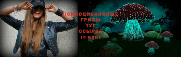 герыч Алзамай