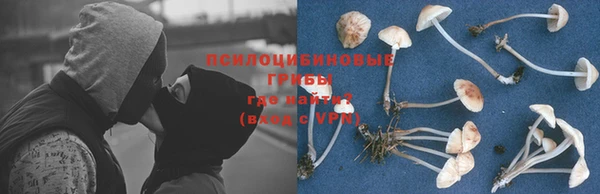 ПСИЛОЦИБИНОВЫЕ ГРИБЫ Михайловск