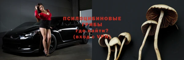 герыч Алзамай
