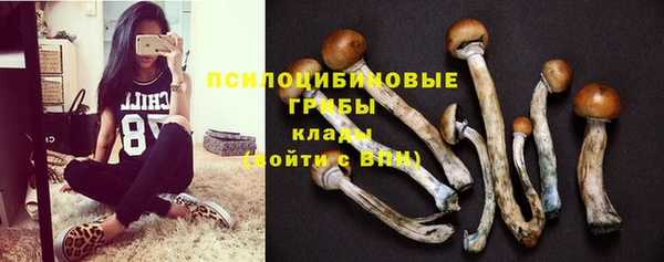 mix Алексеевка