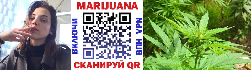 где найти наркотики  Кызыл  Бошки марихуана индика 